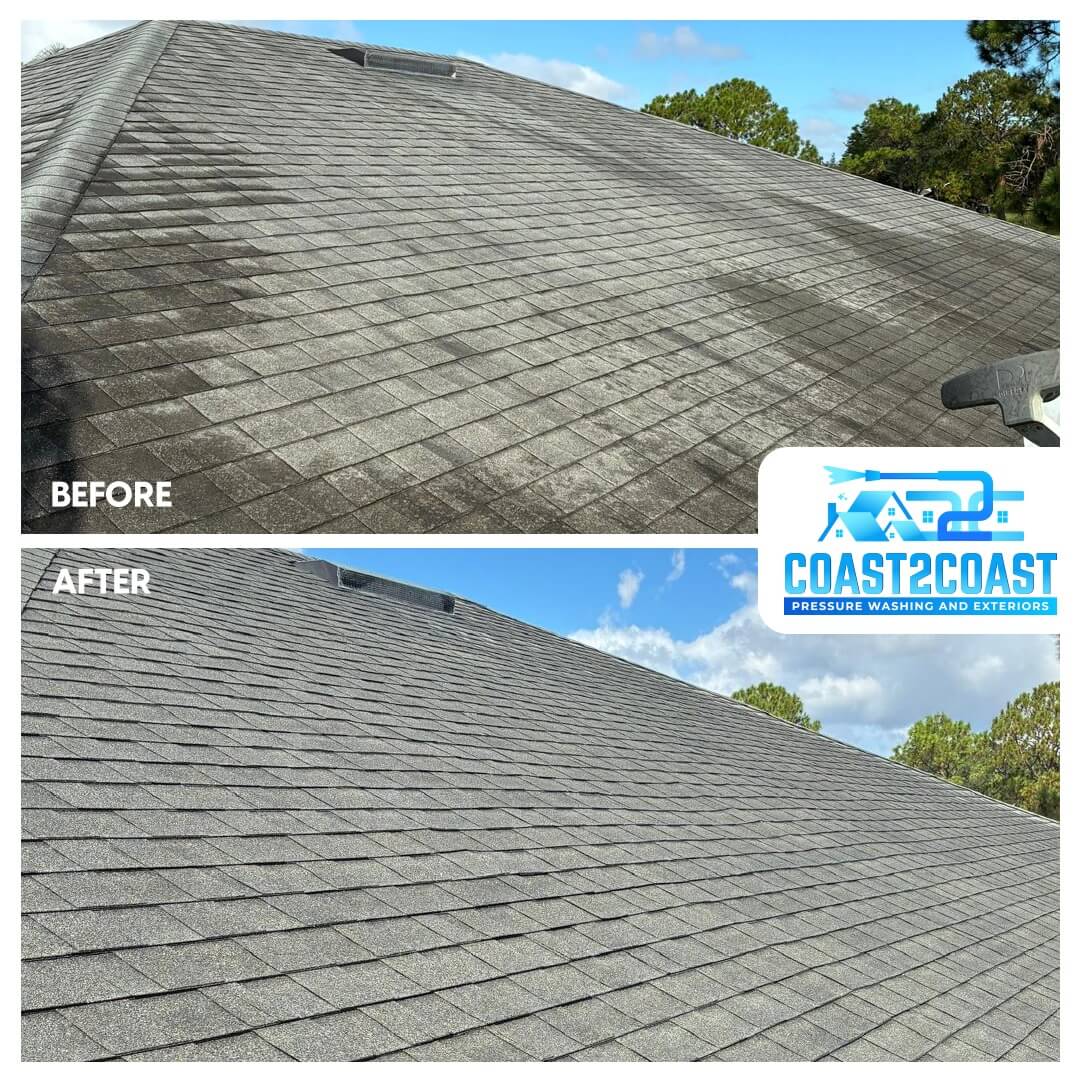 Soft Wash Roof Cleaning